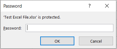 MS Excel Password Protected